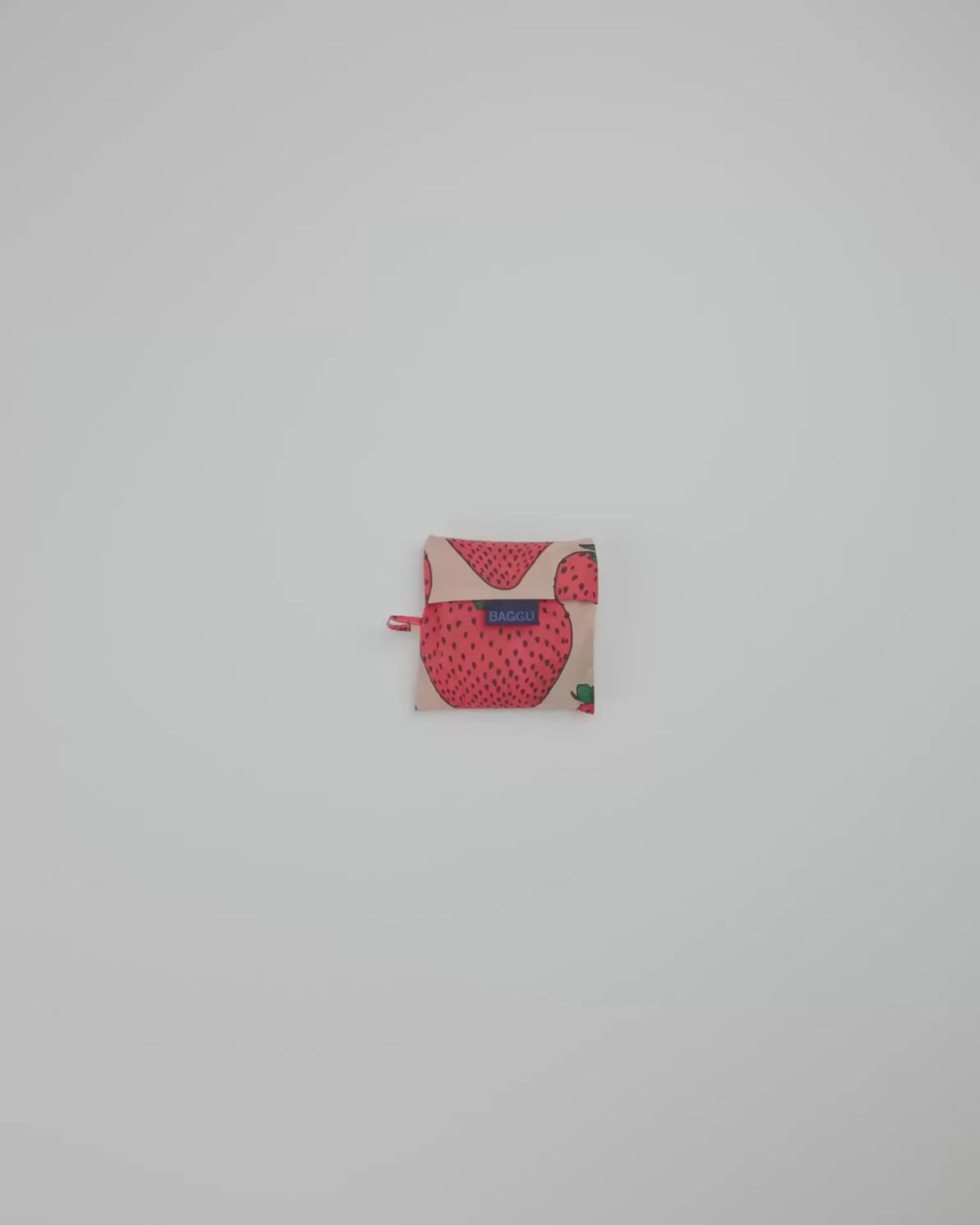 STANDARD BAGGU - US 9860